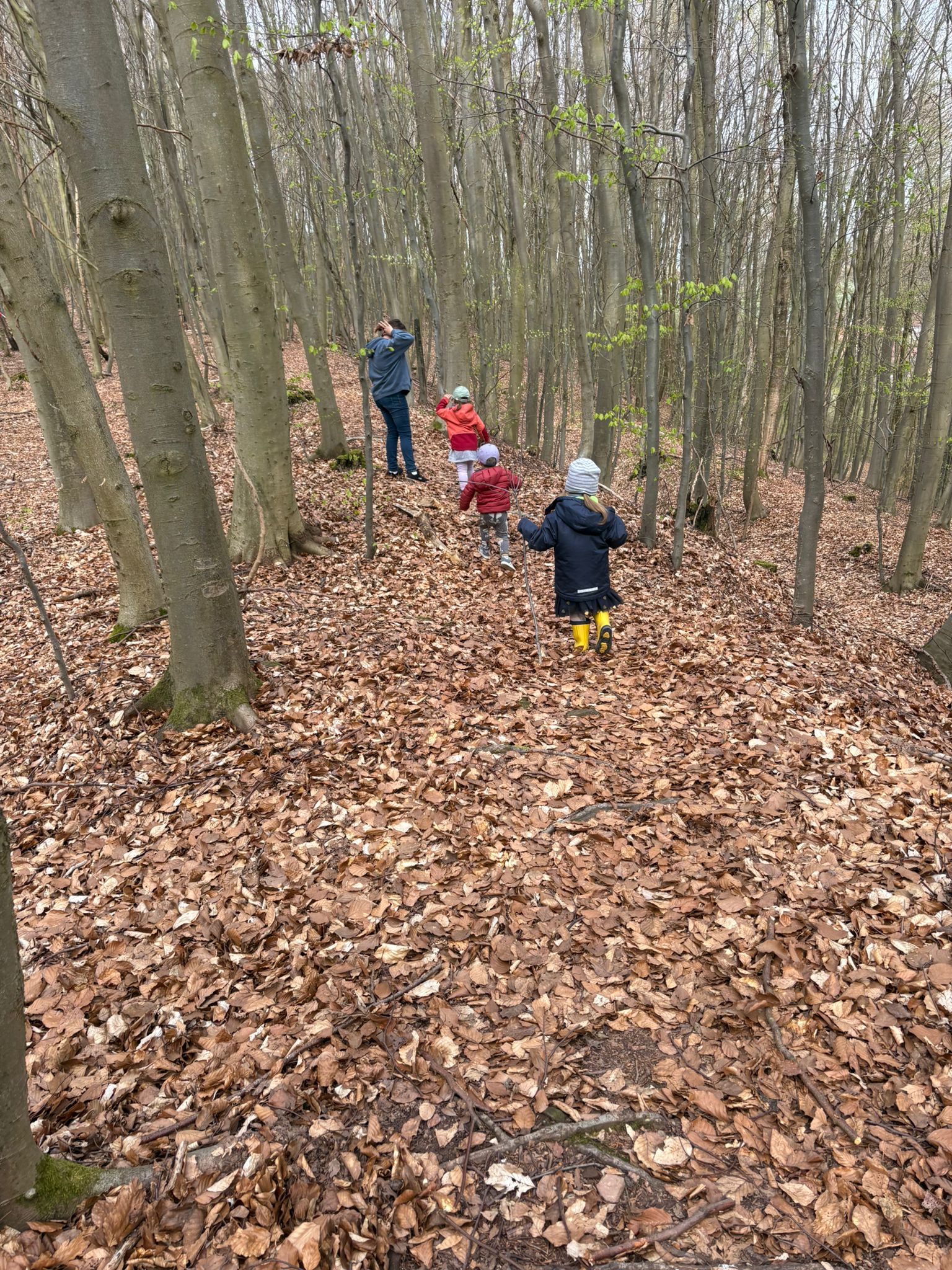 Im Wald